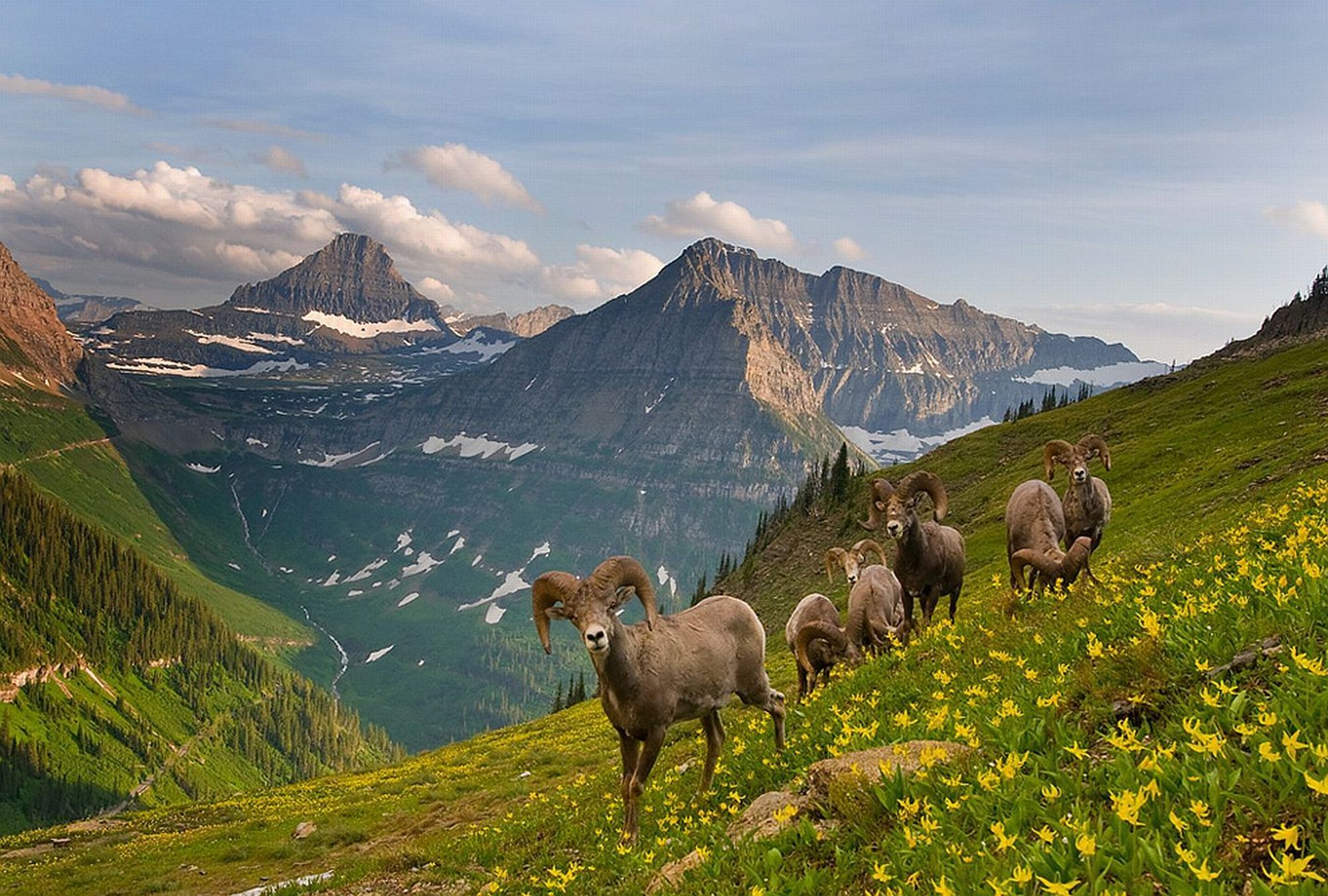 glacier national park